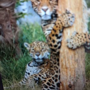 Meet your Posher, Jane